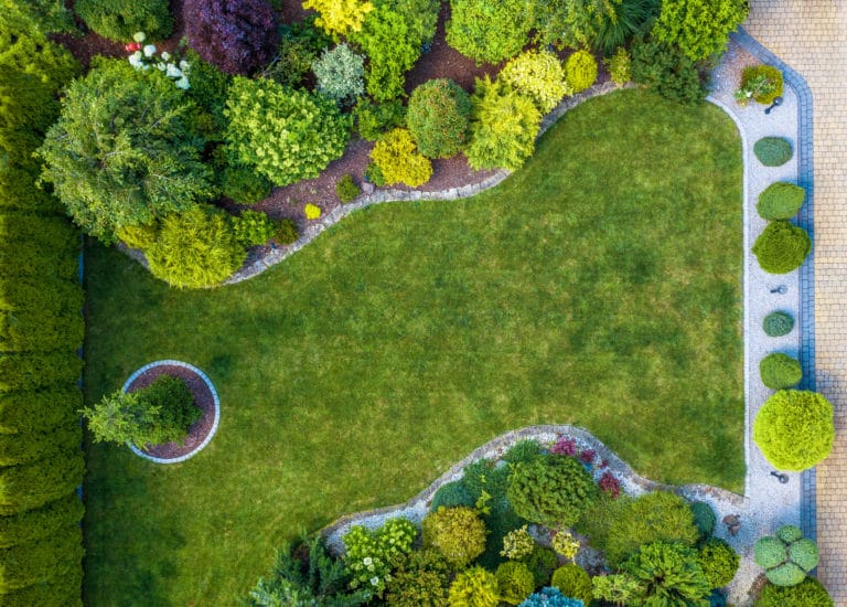 beautiful residential mature garden aerial view 2K8597Q