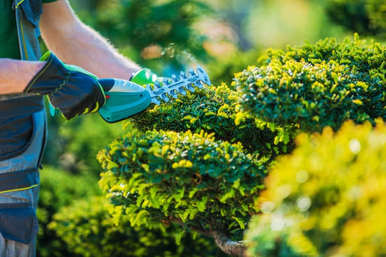 Commercial Landscaping maintenance