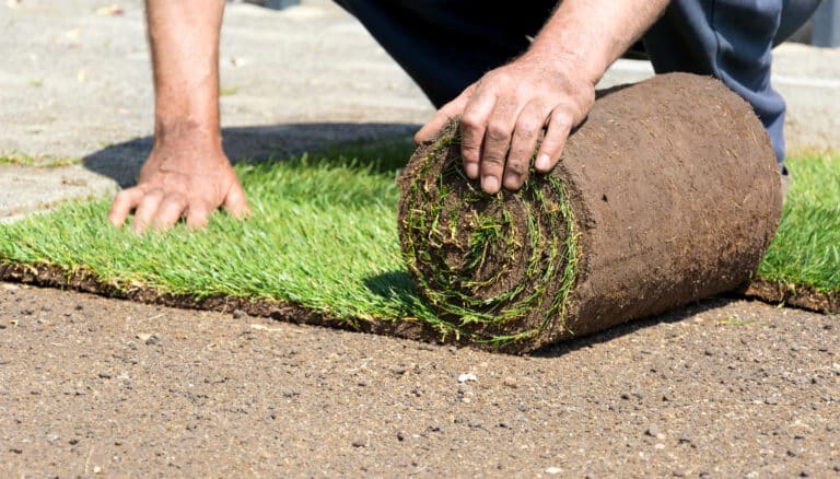 sod installation edmonton